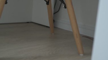 Kahverengi evcil sıçan evin etrafında koşuyor ve işini yapıyor. Bir kafeste oturur, yer ve oynar.