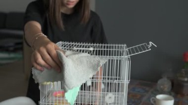 Kız akıllı, sevimli evcil faresiyle ilgileniyor ve oynuyor. Sahibi kahverengi fareyi besler ve yıkar.