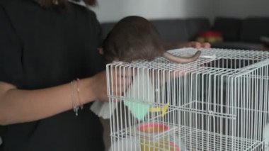 Kız akıllı, sevimli evcil faresiyle ilgileniyor ve oynuyor. Sahibi kahverengi fareyi besler ve yıkar.