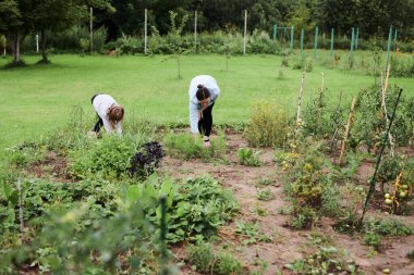 Evin arka bahçesinde annesine yardım eden küçük bir kız.