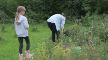 Anne ve kız bahçede çalışıyor, arka bahçedeki bitkilerle ilgileniyor, yatakları hasat ediyor ve yabani otları temizliyor.
