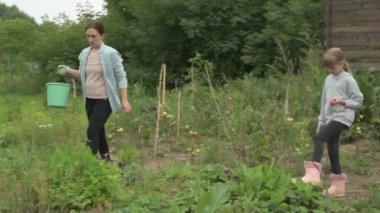 Anne ve kız bahçede çalışıyor, arka bahçedeki bitkilerle ilgileniyor, yatakları hasat ediyor ve yabani otları temizliyor.