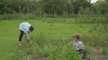Anne ve kız bahçede çalışıyor, arka bahçedeki bitkilerle ilgileniyor, yatakları hasat ediyor ve yabani otları temizliyor.