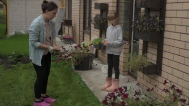 Anne ve kız bahçede çalışıyor, arka bahçedeki bitkilerle ilgileniyor, yatakları hasat ediyor ve yabani otları temizliyor.