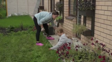 Anne ve kız bahçede çalışıyor, arka bahçedeki bitkilerle ilgileniyor, yatakları hasat ediyor ve yabani otları temizliyor.