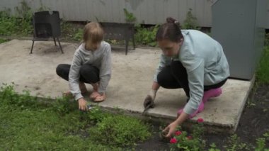 Anne ve kız bahçede çalışıyor, arka bahçedeki bitkilerle ilgileniyor, yatakları hasat ediyor ve yabani otları temizliyor.
