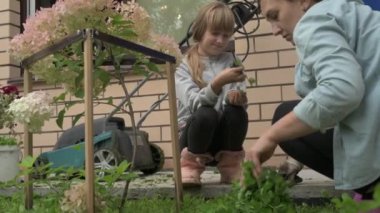 Anne ve kız bahçede çalışıyor, arka bahçedeki bitkilerle ilgileniyor, yatakları hasat ediyor ve yabani otları temizliyor.
