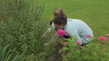 Anne ve kız bahçede çalışıyor, arka bahçedeki bitkilerle ilgileniyor, yatakları hasat ediyor ve yabani otları temizliyor.