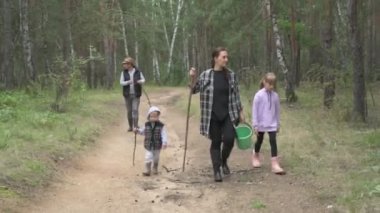 Dört kişilik mutlu bir aile ormanda yürür, mantar, böğürtlen ve ot toplar.