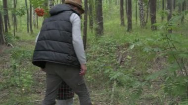 Dört kişilik mutlu bir aile ormanda yürür, mantar, böğürtlen ve ot toplar.