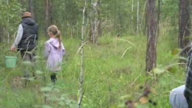 Dört kişilik mutlu bir aile ormanda yürür, mantar, böğürtlen ve ot toplar.