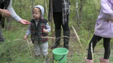 Dört kişilik mutlu bir aile ormanda yürür, mantar, böğürtlen ve ot toplar.