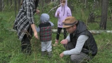 Dört kişilik mutlu bir aile ormanda yürür, mantar, böğürtlen ve ot toplar.