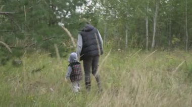 Dört kişilik mutlu bir aile ormanda yürür, mantar, böğürtlen ve ot toplar.