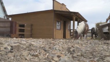  Hayvan çiftliğinde midilli, hayvanat bahçesinde atlar.