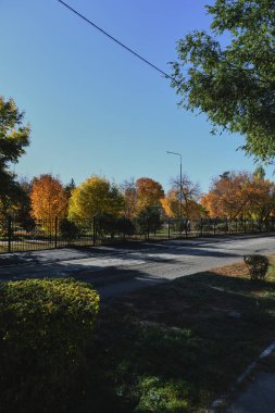Küçük bir kasabanın sonbahar manzarası. Turuncu yapraklarla kaplı köy evleri ve yollar