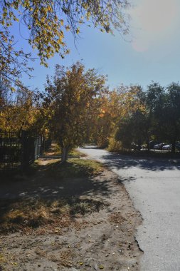 Küçük bir kasabanın sonbahar manzarası. Turuncu yapraklarla kaplı köy evleri ve yollar