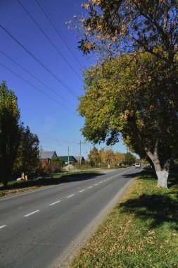 Küçük bir kasabanın sonbahar manzarası. Turuncu yapraklarla kaplı köy evleri ve yollar