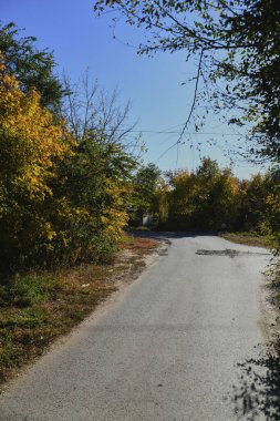 Küçük bir kasabanın sonbahar manzarası. Turuncu yapraklarla kaplı köy evleri ve yollar