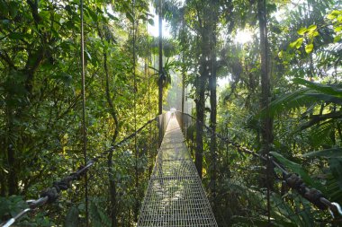 Wiszace mosty w La Fortuna - Kostaryka