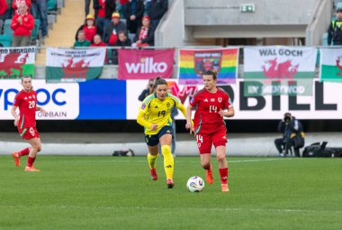 Göteborg, İsveç. 8 Nisan 2025. Gamla Ullevi Milletler Ligi 'nde İsveç ve Galler arasındaki maçın ikinci yarısında. 
