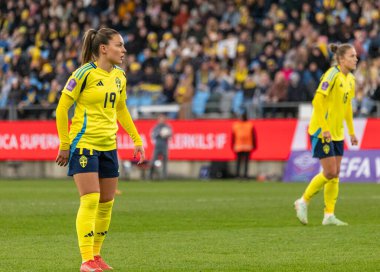 Göteborg, İsveç. 8 Nisan 2025. Gamla Ullevi Milletler Ligi 'nde İsveç ve Galler arasındaki maçın ikinci yarısında. 