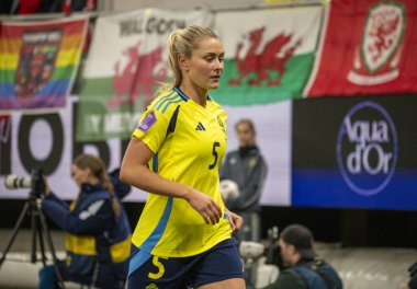 Göteborg, İsveç. 8 Nisan 2025. Gamla Ullevi Milletler Ligi 'nde İsveç ve Galler arasındaki maçın ikinci yarısında. 