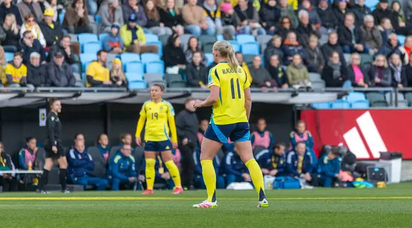 Göteborg, İsveç. 8 Nisan 2025. Gamla Ullevi Milletler Ligi 'nde İsveç ve Galler arasındaki maçın ikinci yarısında. 