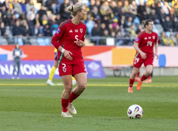 Göteborg, İsveç. 8 Nisan 2025. Gamla Ullevi Milletler Ligi 'nde İsveç ve Galler arasındaki maçın ikinci yarısında. 