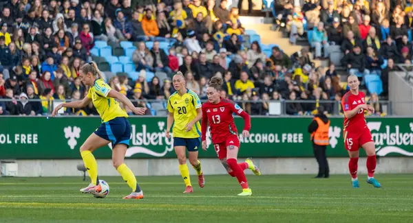 Göteborg, İsveç. 8 Nisan 2025. Gamla Ullevi Milletler Ligi 'nde İsveç ve Galler arasındaki maçın ikinci yarısında. 
