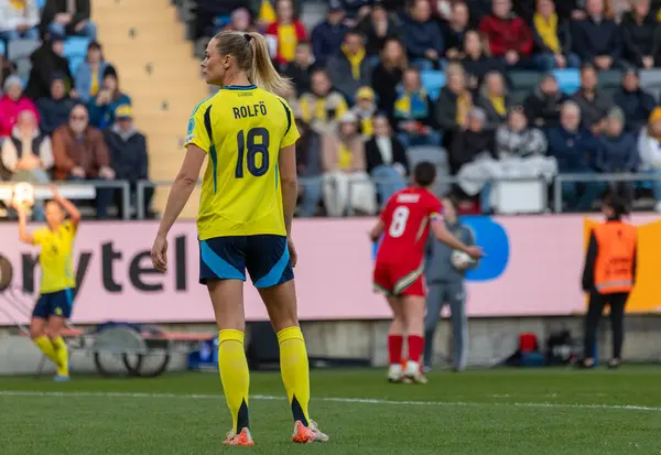 Göteborg, İsveç. 8 Nisan 2025. Gamla Ullevi Milletler Ligi 'nde İsveç ve Galler arasındaki maçın ikinci yarısında. 