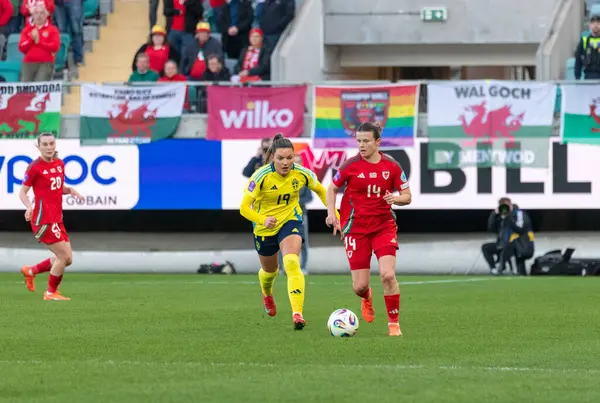 Göteborg, İsveç. 8 Nisan 2025. Gamla Ullevi Milletler Ligi 'nde İsveç ve Galler arasındaki maçın ikinci yarısında. 