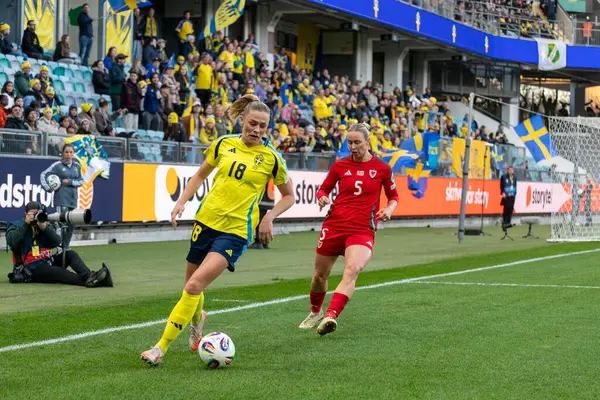 Göteborg, İsveç. 8 Nisan 2025. Gamla Ullevi Milletler Ligi 'nde İsveç ve Galler arasındaki maçın ikinci yarısında. 