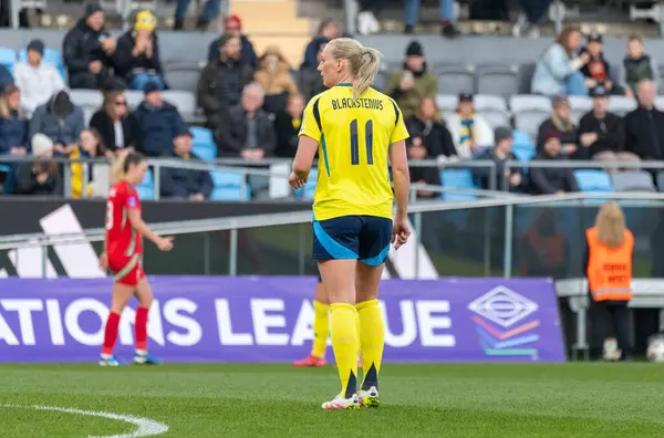 Göteborg, İsveç. 8 Nisan 2025. Gamla Ullevi Milletler Ligi 'nde İsveç ve Galler arasındaki maçın ikinci yarısında. 