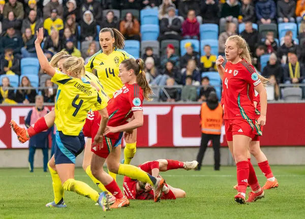 Göteborg, İsveç. 8 Nisan 2025. Gamla Ullevi Milletler Ligi 'nde İsveç ve Galler arasındaki maçın ikinci yarısında. 