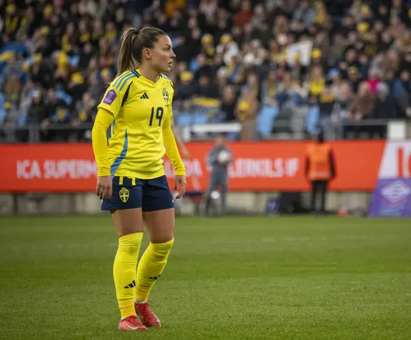 Göteborg, İsveç. 8 Nisan 2025. Gamla Ullevi Milletler Ligi 'nde İsveç ve Galler arasındaki maçın ikinci yarısında. 