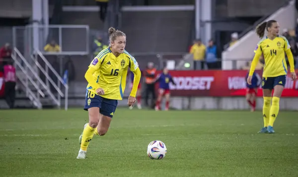 Göteborg, İsveç. 8 Nisan 2025. Gamla Ullevi Milletler Ligi 'nde İsveç ve Galler arasındaki maçın ikinci yarısında. 