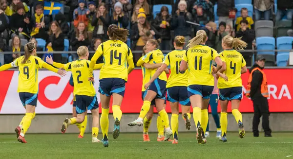 Göteborg, İsveç. 8 Nisan 2025. Gamla Ullevi Milletler Ligi 'nde İsveç ve Galler arasındaki maçın ikinci yarısında. 