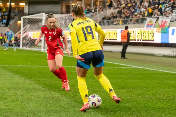 Göteborg, İsveç. 8 Nisan 2025. Gamla Ullevi Milletler Ligi 'nde İsveç ve Galler arasındaki maçın ikinci yarısında. 
