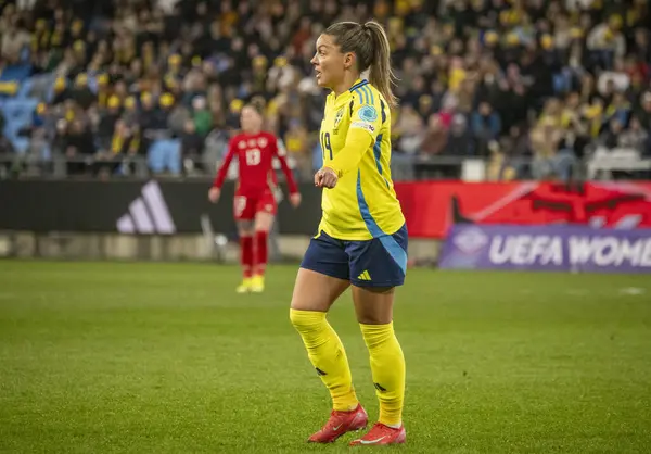 Göteborg, İsveç. 8 Nisan 2025. Gamla Ullevi Milletler Ligi 'nde İsveç ve Galler arasındaki maçın ikinci yarısında. 