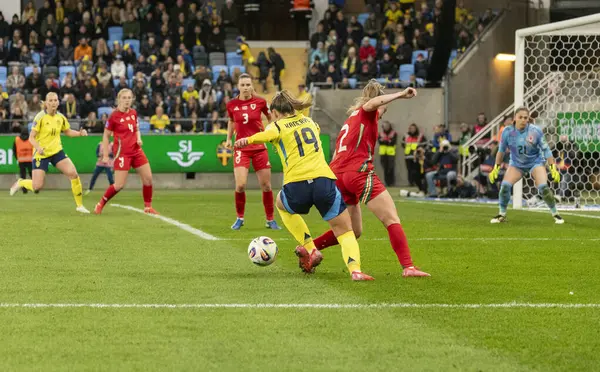 Göteborg, İsveç. 8 Nisan 2025. Gamla Ullevi Milletler Ligi 'nde İsveç ve Galler arasındaki maçın ikinci yarısında. 