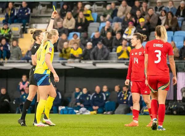 Göteborg, İsveç. 8 Nisan 2025. Gamla Ullevi Milletler Ligi 'nde İsveç ve Galler arasındaki maçın ikinci yarısında. 