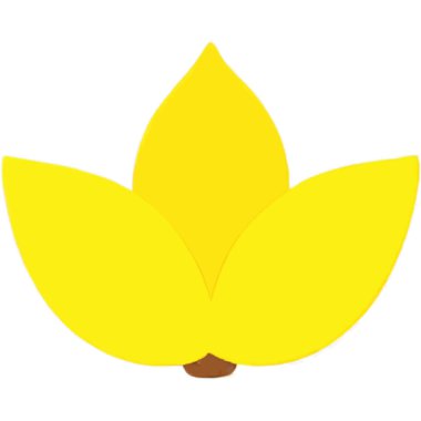 Diwali Festivali 'nin ilk günü, altın ve yeni eşyalar almak için hayırlı kabul edildi..