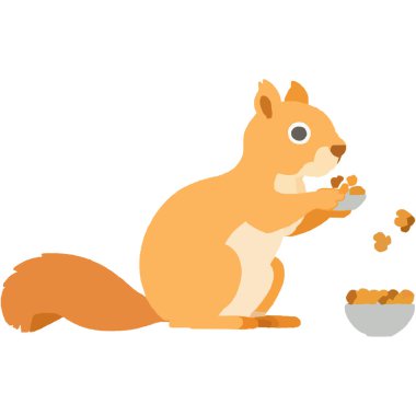 Doğal orman ortamında yiyecek toplayan şakacı bir sincap..