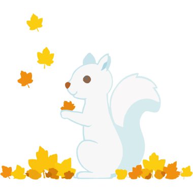 Doğal orman ortamında yiyecek toplayan şakacı bir sincap..