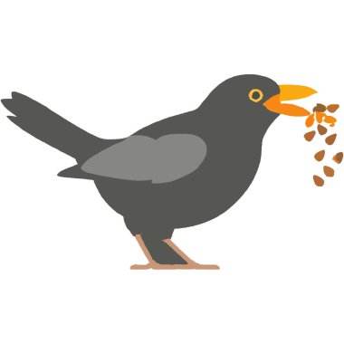 Uçma, cıvıldama ve çeşitli ekosistemlerde yaşama yeteneği ile bilinen tüylü bir omurgalı hayvan..