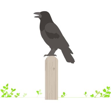 Uçma, cıvıldama ve çeşitli ekosistemlerde yaşama yeteneği ile bilinen tüylü bir omurgalı hayvan..