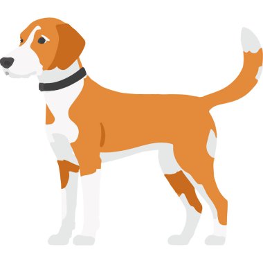 Sadık bir köpek kuyruğunu sallıyor, arkadaşlığı ve koşulsuz sevgiyi temsil ediyor..