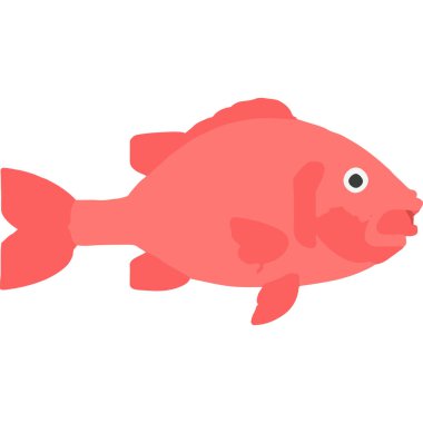 Huzurlu bir sualtı dünyasında zarafetle yüzen parıldayan bir balık..