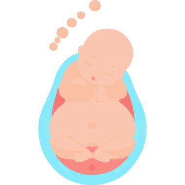 İnsan rahminin sakin bir tasviri yaşamı, ilgiyi ve hamileliği simgeliyor..